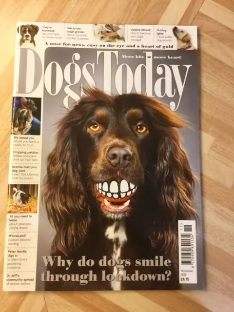 Dogs Today Magazine - November 2020 - Mint - Free P&P