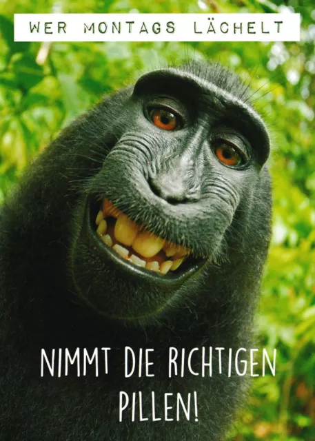 Postkarte Sprüche & Humor "Wer Montags lächelt, nimmt die richtigen Pillen!"