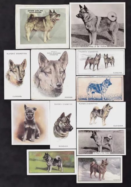 12 Different Vintage Norwegian Elkhound Tobacco/Candy Dog Cards Lot