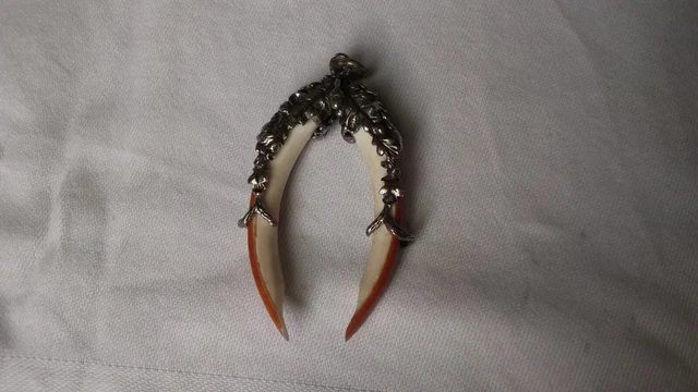 Charivari Anhänger Silber 835 Eichenlaub Nutriazähne Tracht Jagd Volksfest Charivari Anhänger Silber 835 Eichenlaub Nutriazähne Tracht Jagd Volksfest