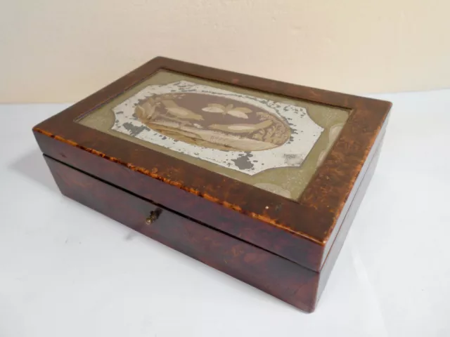 Ancienne boite de Mariée bois Peinture Oiseaux fixé sous verre Miroir XVIII XIXé