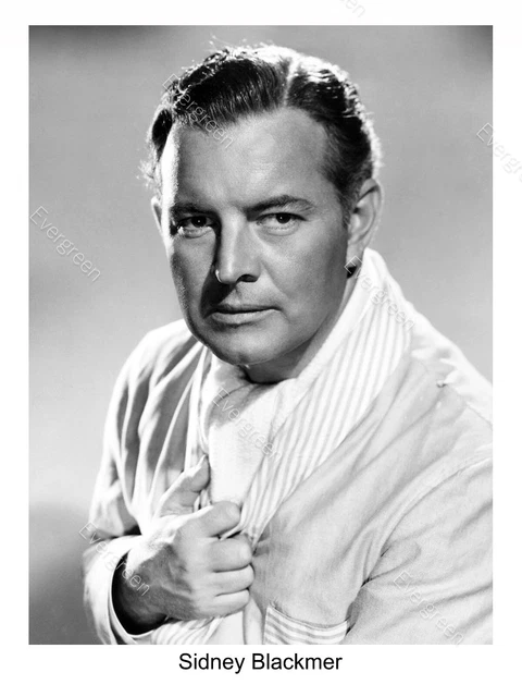 SIDNEY BLACKMER Attore Actor Foto Photo 20 X 25 Cm EUR 6 90 PicClick IT sidney-blackmer-attore-actor-foto-photo-20-x-25-cm-eur-6-90-picclick-it