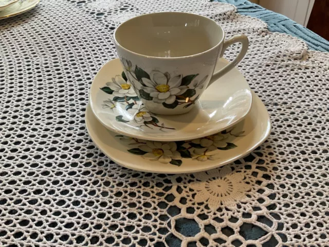 Mid Century Vintage trio, cup,saucer,plate Magnolia pattern Midwinter