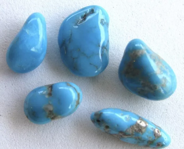 5 Campitos Turquoise Natural Nugget Polished Tumbled  LOT Lapidary Nuggets Rocks