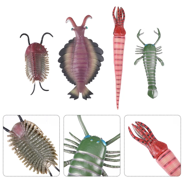 AENIMELY Marrella Trilobit Figur – Prähistorische Meeres-Kreatur Aus Dem Kambrium, Aus Kunststoff, Pädagogisches Spielzeug