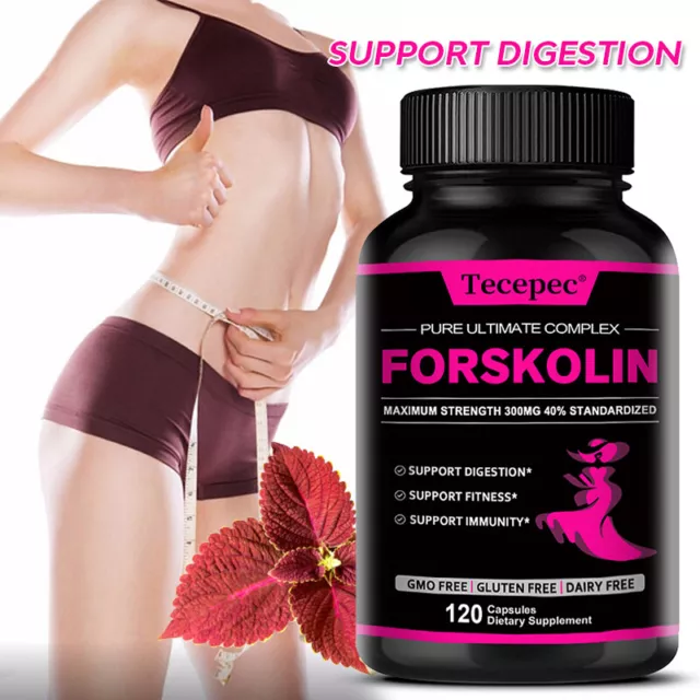 Forskohlii Extract 300 mg Capsules Weight Loss Fat Burner