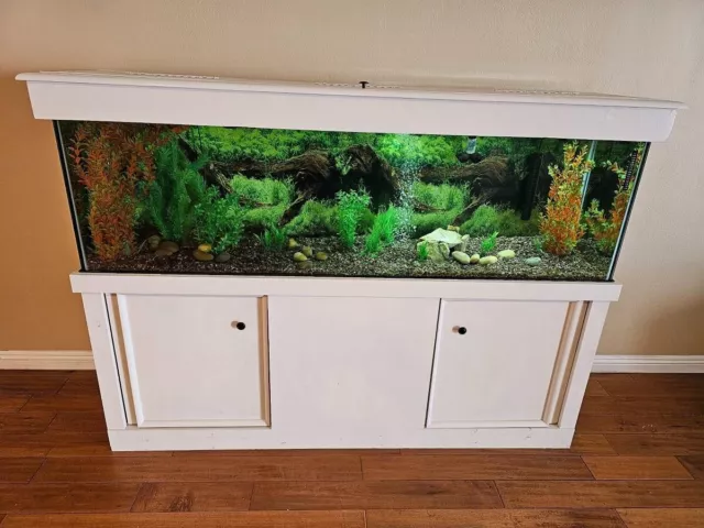 50 gallon Aquarium Fish Tank, Canopy, Lighting, and Textured Wooden Stand