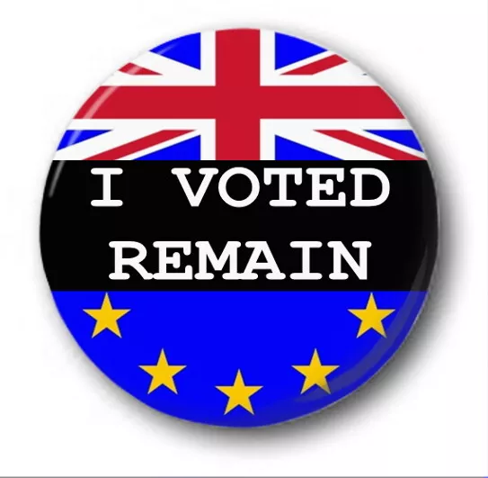 I VOTED REMAIN  - 1 inch / 25mm Button Badge - Brexit EU Referendum 48% Vote