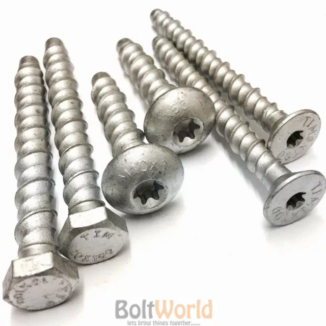Hex Pan Countersunk Head Multi Fix Thunder Concrete Bolts Screw Anchor Fixings