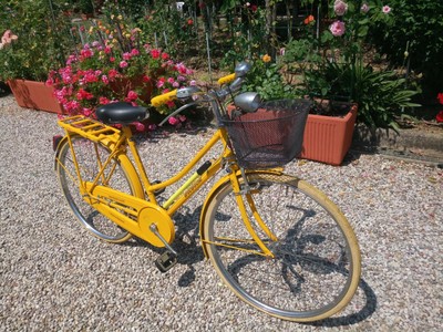 bicicletta anni 80 mammoletta