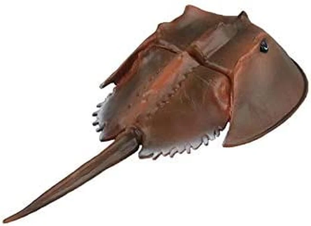 Simulated Sea Life Animals Figurines Realistic Sea Creature Model Plastic Ocean