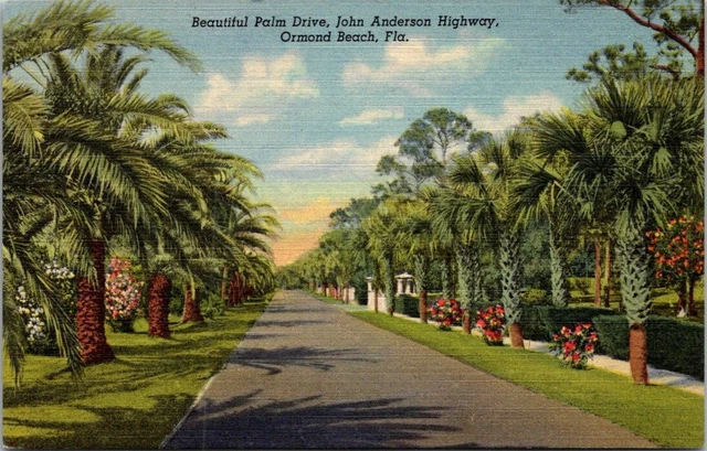 Palm Drive, John Anderson Highway, Ormond Beach Florida FL linen postcard
