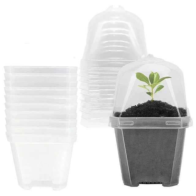 Lot De 100 Petits Pots De Pépinière 10cm Avec Trous De Drainage - Winter Shore + 100 Étiquettes & Stylo