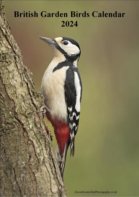 BRITISH GARDEN BIRDS 2024 A4 Calendar (Photography by Steve Round) £9.