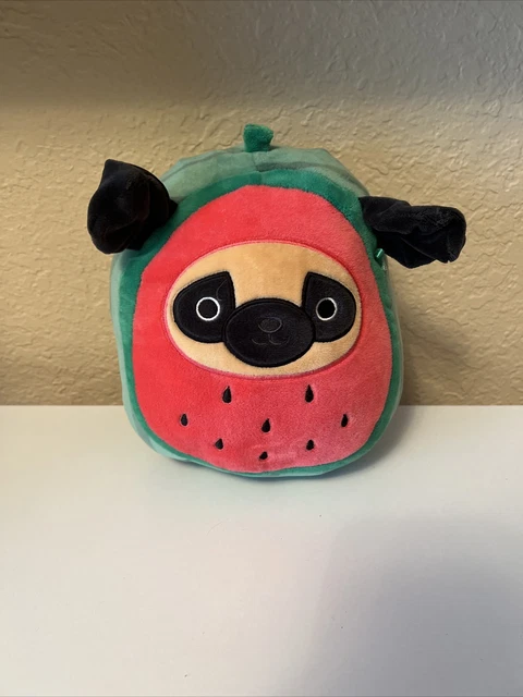 Squishmallows 7.5 - 8" PRINCE in watermelon costume the brown Pug dog NWT🐶