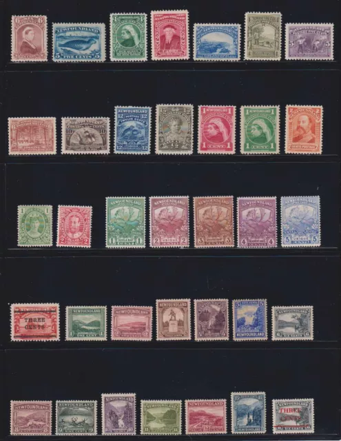 D9067: Newfoundland Mint Stamp Collection; CV