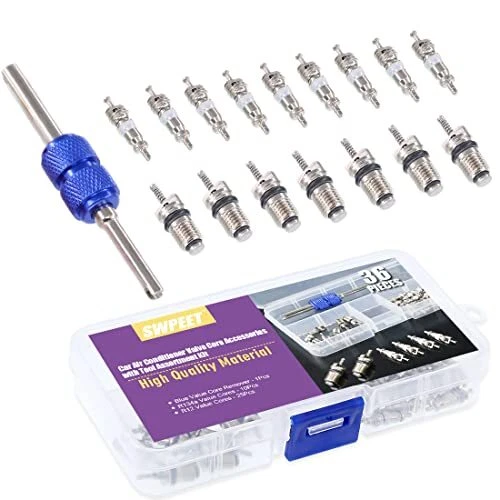 36Pcs Air Conditioner R12 R134a Valve Cores Kit, Including Assortment R12