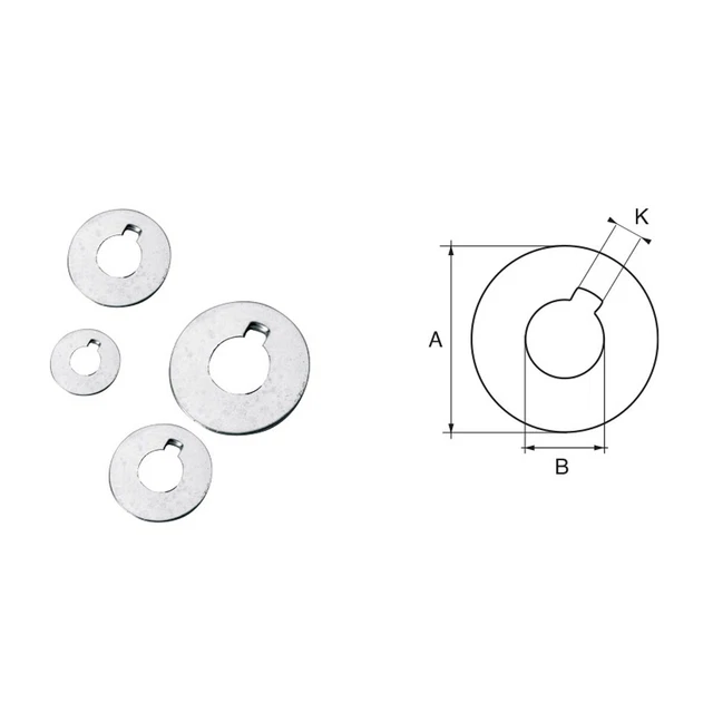 FONP ANODO PER assi ed eliche Radice art. POLIPODIO RA021 EUR 23,99 ...
