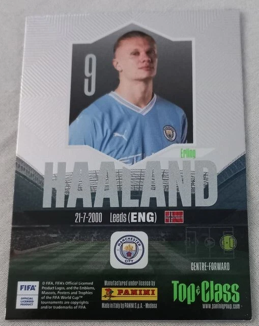 ERLING HAALAND Panini Top Class 2024 Holo Giants Card EUR 1,00
