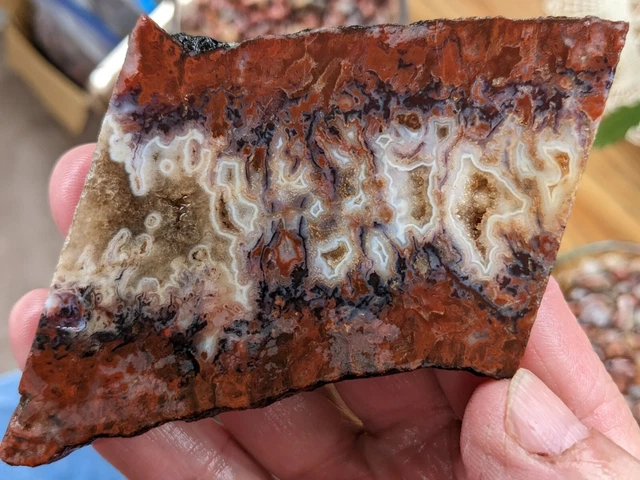 Graveyard Point Plume Agate Slab Precut From Old Collection 3oz
