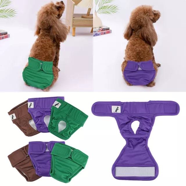 Pantaloni Fisiologici Per Animali Domestici Pannolini Per Cani Abbigliamento+