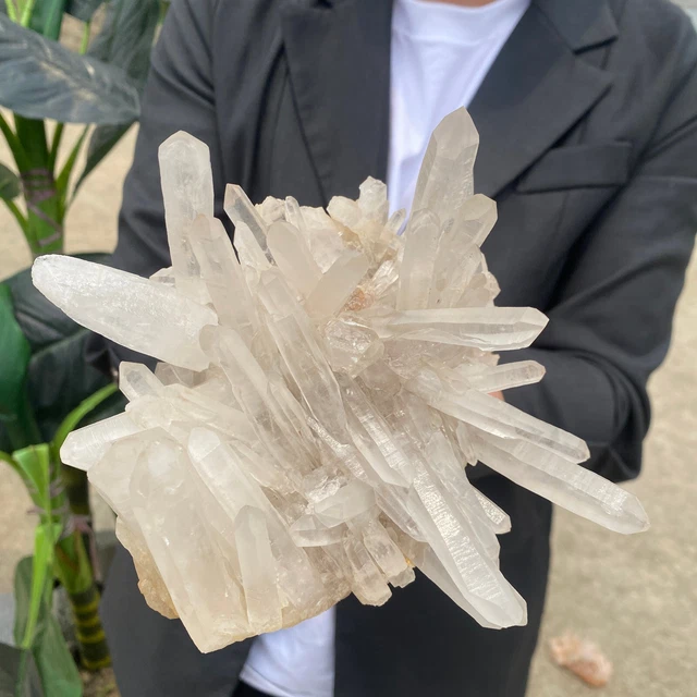 3.1lb Large Natural Clear White Quartz Crystal Cluster Rough Healing Specimen 4