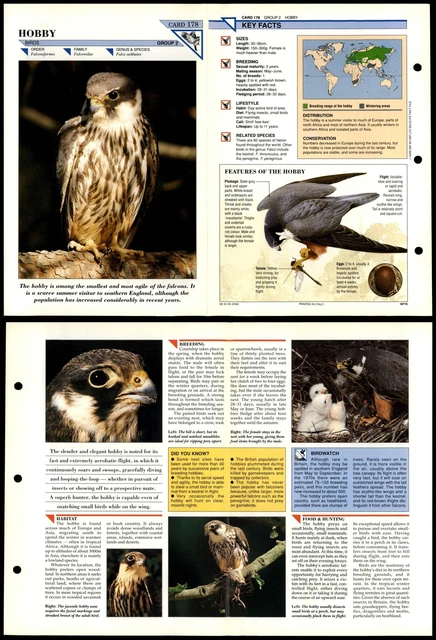 HOBBY #178 BIRDS Wildlife Fact File Fold-Out Card £1.99 - PicClick UK
