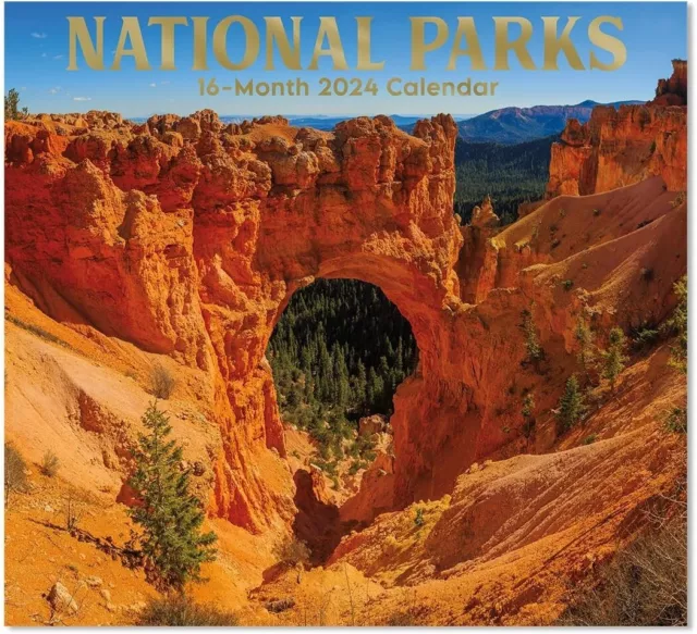 NATIONAL PARKS 2024 Full Size Wall Calendar for Planning, Scheduling