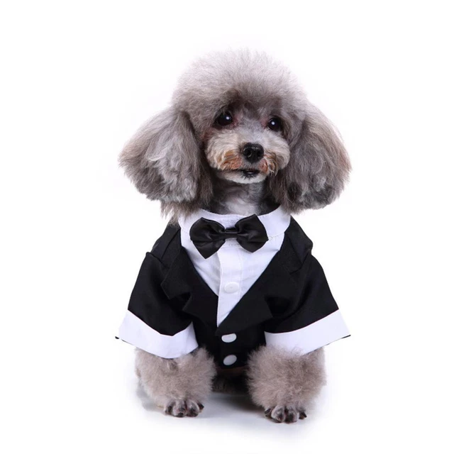 Haustier kleiner Hund Kleidung, Welpen stilvolle Anzug Fliege Kostüm, Hochzeit