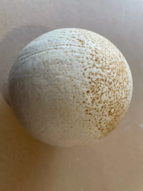 Genuine vintage blown ostrich egg shell, size approx 125mm x 105mm