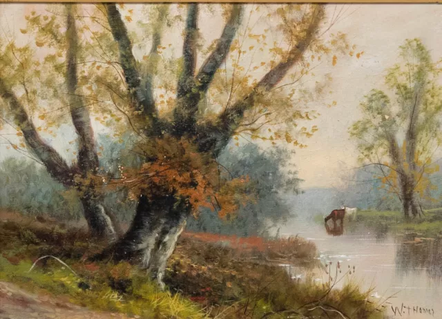 W. Thomas - Framed Early 20th Century Oil, Autumnal Landscape with Cattle 2