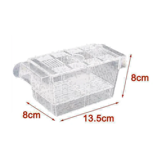 Aquarium Fish Tank Guppy Double Breeding Breeder, Der X6K0 7Y9I Clear U2G2 A9E7 3