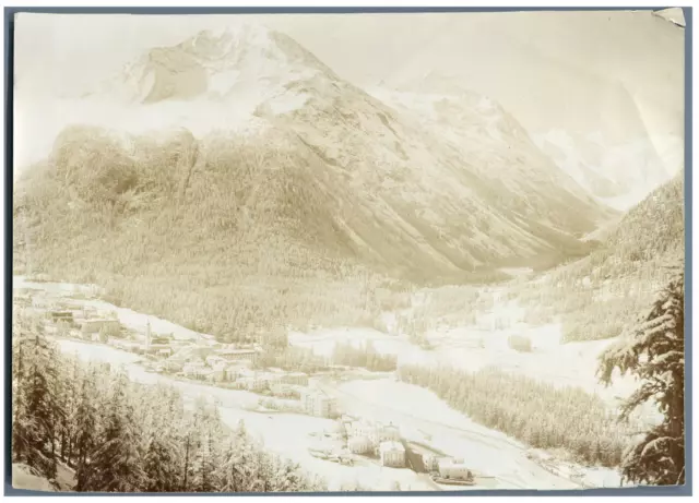 Suisse,Pontresina Vintage print.  Tirage citrate  17x22  Circa 1900    <