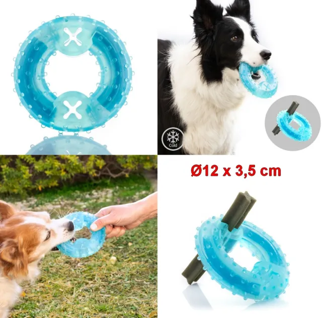 Juguete Aro Mordedor Congelable para Mascotas perro,Ø 12 cm,relleno agua natural