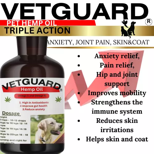 Essential Hemp Oil For Dogs 60ml, 60,000mg - Dog Calming Drops , Pets Hemp Oil