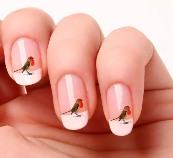 20 Nail Art Aufkleber Transfers Aufkleber #258 - Bird Robin