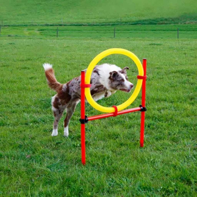Kerbl Agility Set Completo per Cani Addestramento Cani Agility Training Rosso 80758 Ke