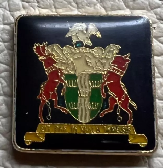 THAMES VALLEY POLICE COAT OF ARMS TIE PIN (MOTTO IN DESC) pin badge lapel brooch