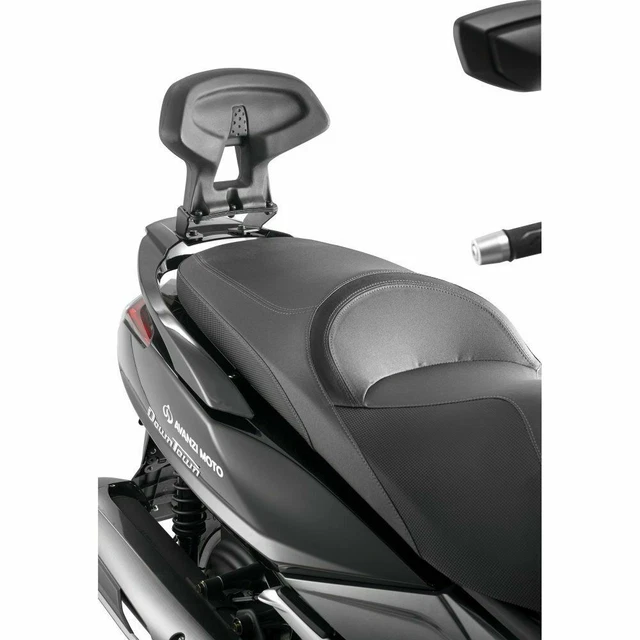 Dosseret Passager Compatible Kymco Downtown 125/200/300i 2009-2017 – Fabriqué En Italie, Garantie 2 Ans, Référence KTB82 + Z801
