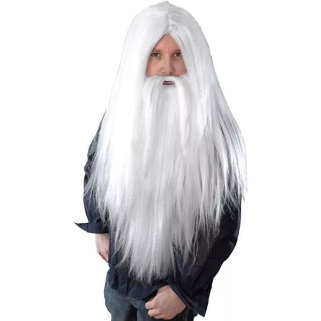 Wizard Wig & Long Beard Adult Fancy Dress Accessory