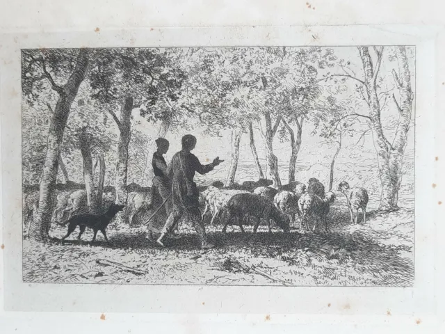 DAPHNIS CHLOE Gravure EAU FORTE Charles Jacque 1864