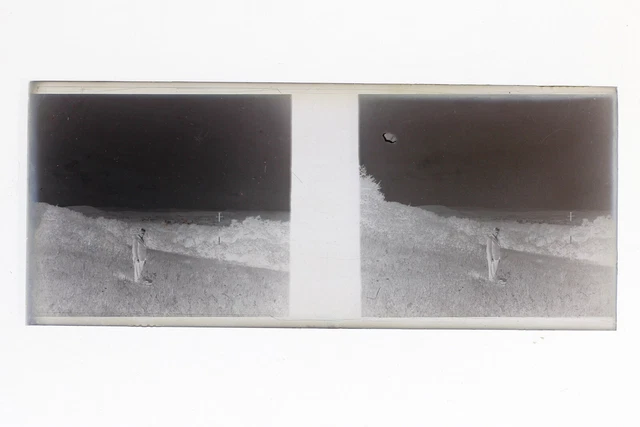 France Men in the Country Photo Stereo Th3L1n5 Glass Plate Vintage NEGATIVE