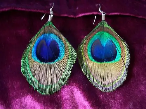 Large Genuine Trimmed Peacock Feather Earrings With Sterling Silver  Hooks