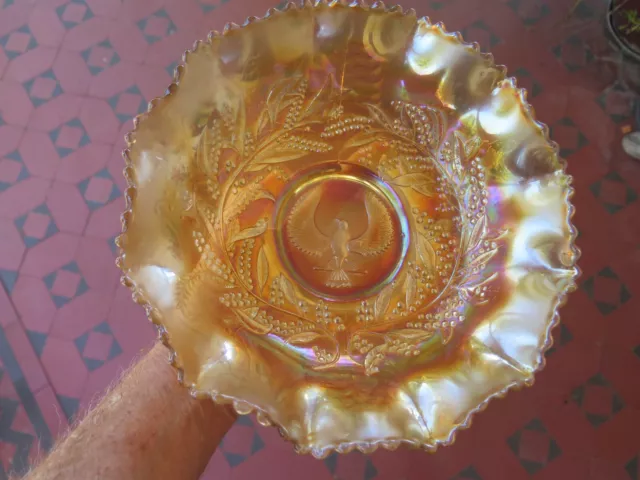 Australian Marigold Carnival Glass Large Piping Shrike Master Bowl 1930 Excelent