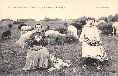 CPA 63 the Auvergne picturesque life in the fields (not current plate