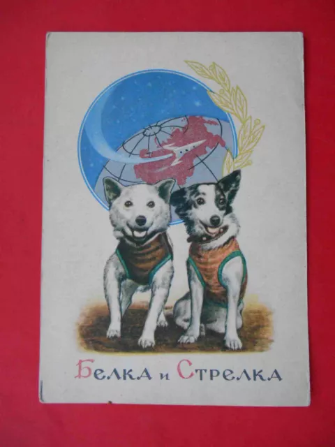 USSR 1961 SPACE dogs husky BELKA and STRELKA flight in rocket. Soviet postcard