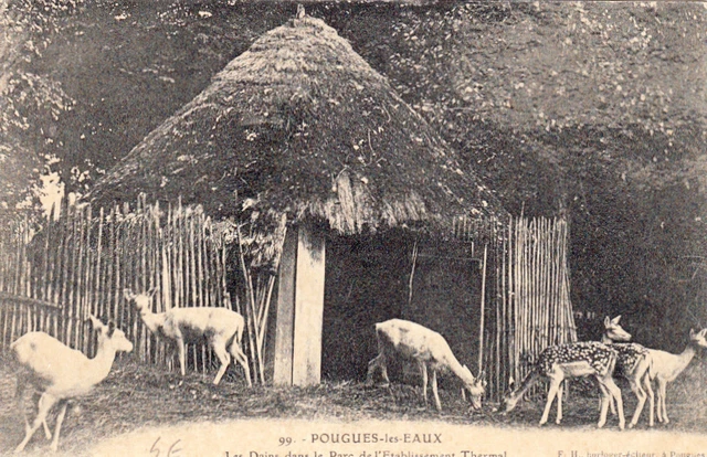 POUGUES-LES-EAUX 99 les dains dans le parc de l'établissement thermal