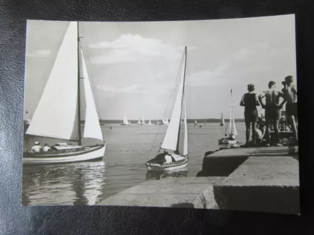 AK Greifswald Wieck Bodden-Segelboote um 1967 ungelaufen