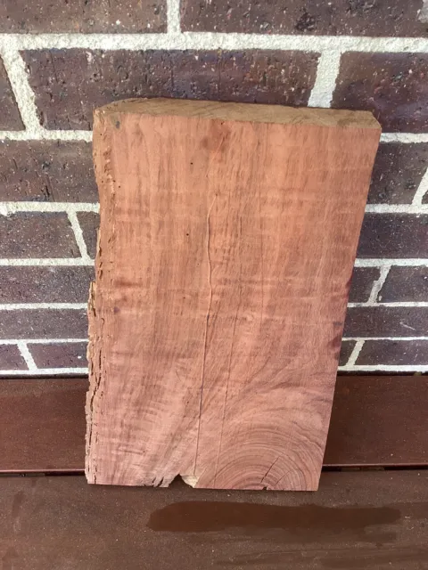 Figured Red Gum. box maker, wood turner timber, craft #5kk