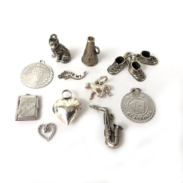 Charm Lot 11 pcs Sterling Silver 925 Assorted Diamond Heart Cat Book Locket Pony